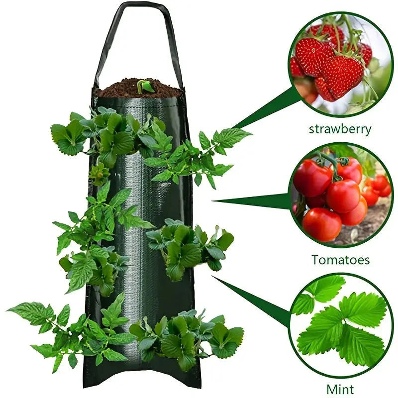 Upside Down Tomato Grow Bag