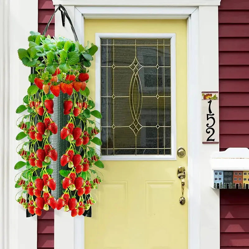 Upside Down Tomato Grow Bag