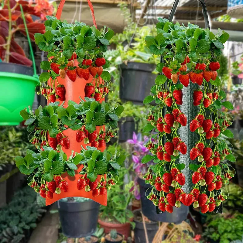 Upside Down Tomato Grow Bag