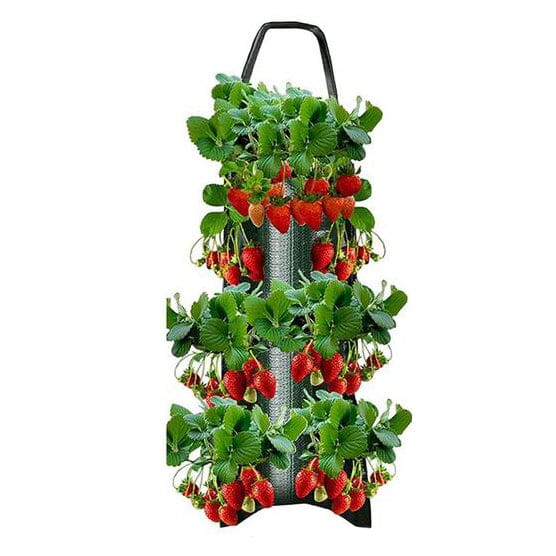 Upside Down Tomato Grow Bag